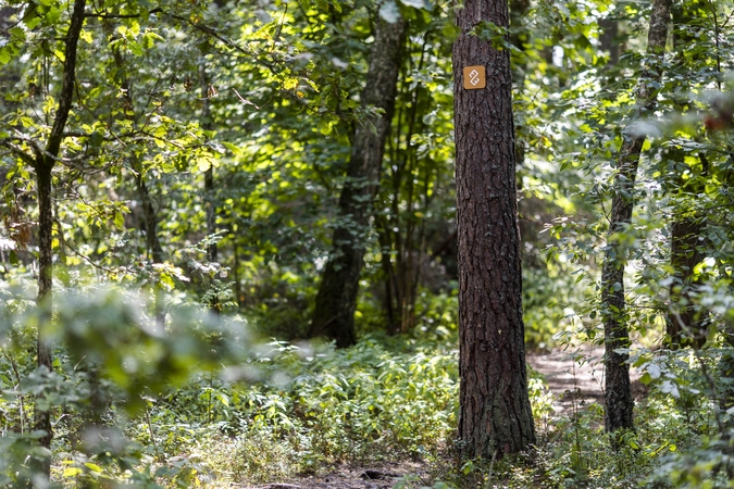 Ministrų kabinetas pritarė siūlymui išplėsti Biržų ir Gražutės regioninių parkų ribas