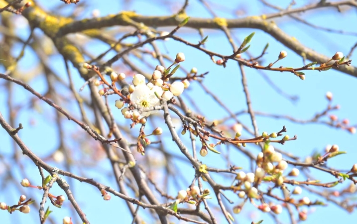 Orai: daug kur numatomas lietus