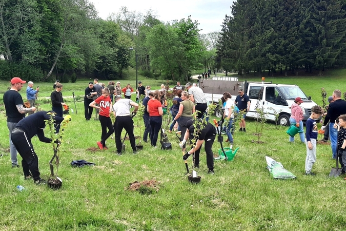 Kretingoje – medžių ir krūmų sodinimo akcija
