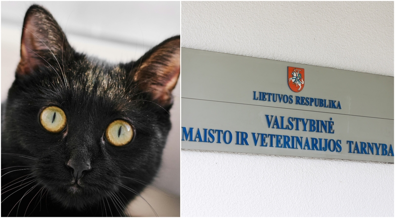 Išvados: VMVT nustatė, kad žinoma nuomonės formuotoja pažeidė gyvūnų gerovės įstatymą. 