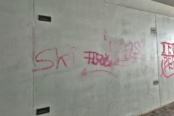 Viltis: klaipėdiečiai tikisi, kad pagaliau grafičiai bus pašalinti, o kenkėjai surasti.