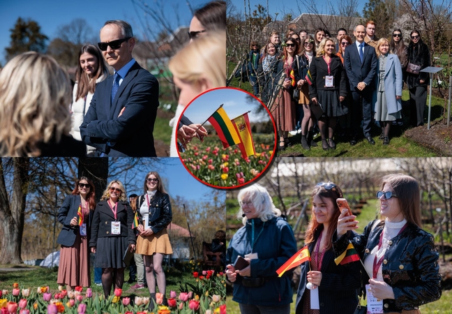 Kaune apsilankęs Ispanijos ambasadorius užtruko prie ypatingos obels