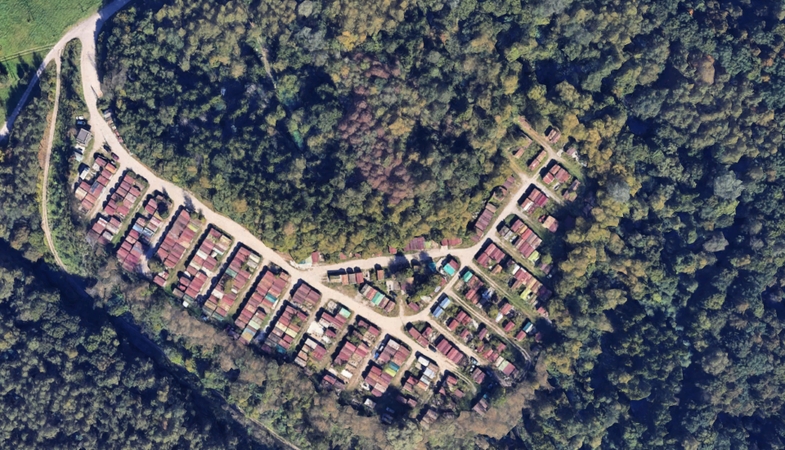 Vietoj garažų Vilniuje išdygs 7500 medžių