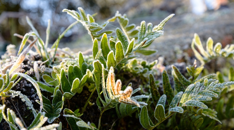 Klimatologas atskleidė, kas vyksta su orais: viskas netrukus pradės keistis