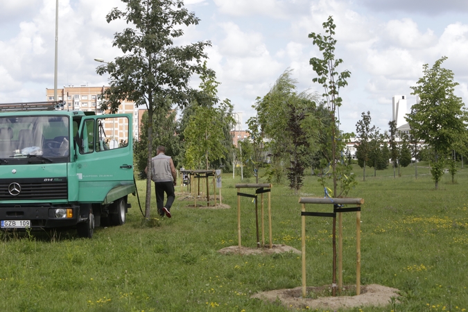 Konkursas: Klaipėdos savivaldybė ieško specialistų, kurie sukurtų Sąjūdžio parko apželdinimo planą.