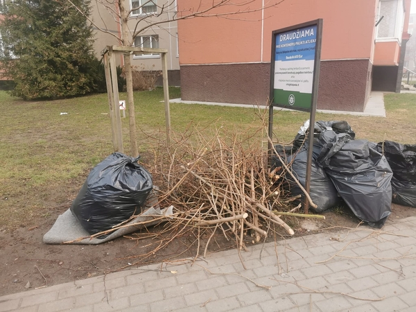 Keblumas: šakų krūvos prie individualių namų konteinerių – kasmet pasikartojanti problema.