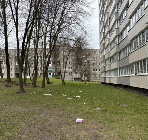 Netvarka: plastiko atliekos ir buteliai, numesti kiemuose, gyventojams kelia pasipiktinimą.