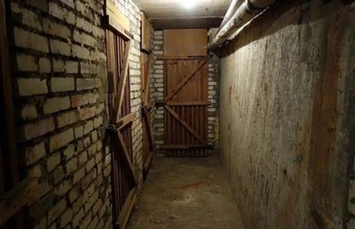 Problema: žmonės vis dažniau skundžiasi daugiabučių rūsiuose kylančiomis problemomis – ir dėl netvarkos, ir dėl juose uždarytų gyvūnų.