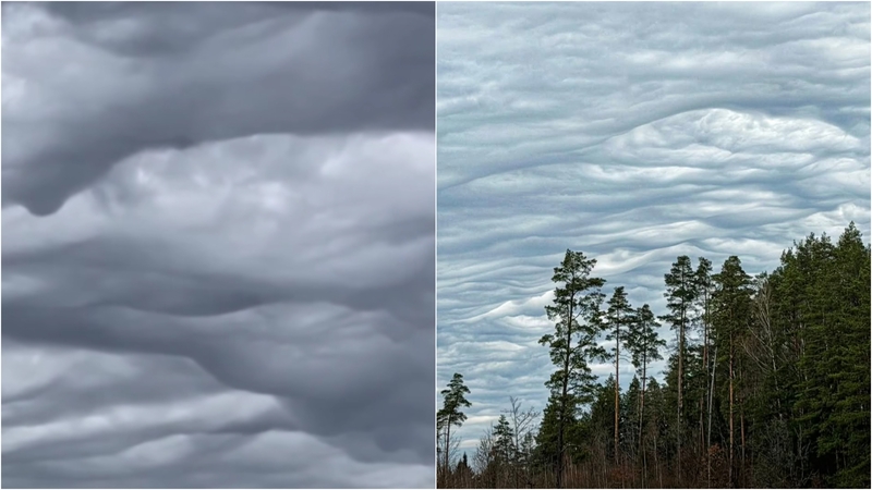 Meteorologas: jūs tik pažiūrėkite!
