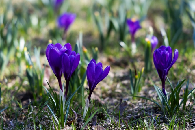 Dienos horoskopas 12 Zodiako ženklų (balandžio 10 d.)