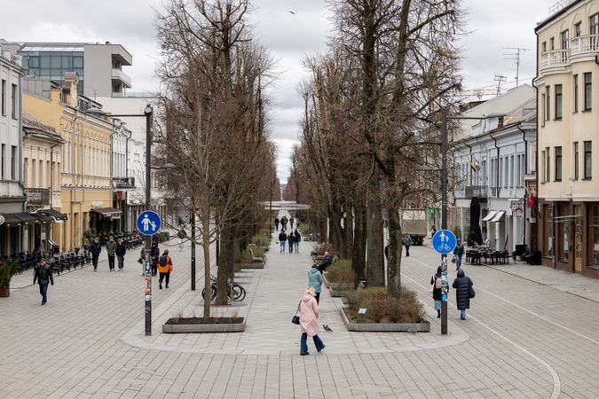 Kauniečių diena (2026-04-07)