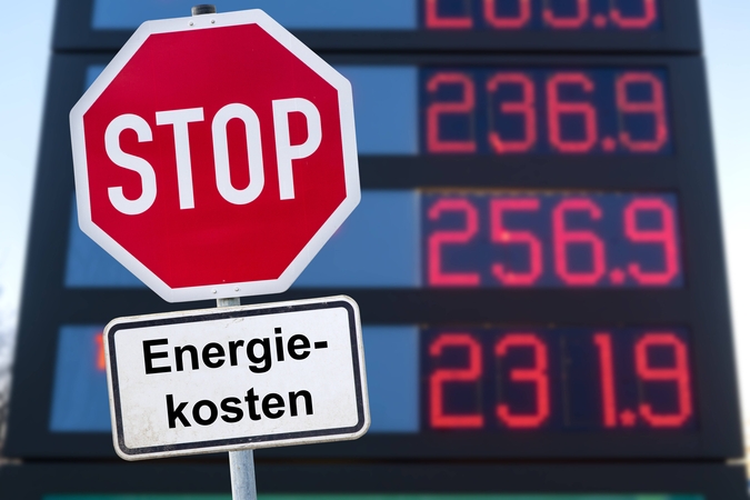 Pirmaujantys ekonomistai ragina pažaboti energetikos įmonių apetitus