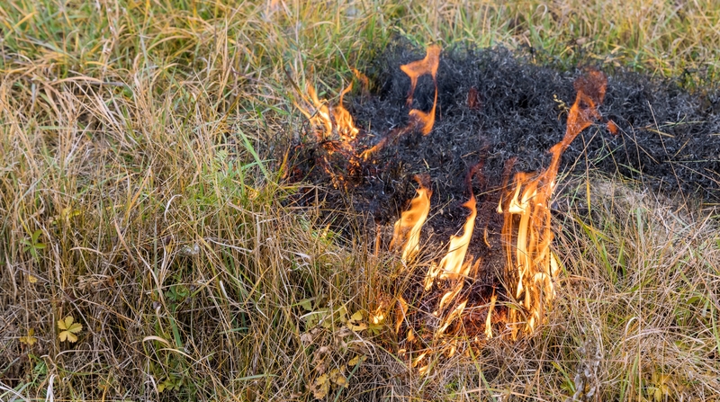 Degančios pievos – vis dar didžiulė bėda: šių gaisrų skaičių sumažinti gali tik vienas dalykas