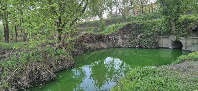 „Šreko ežeras“: kaunietė užfiksavo nustebinusį vaizdą
