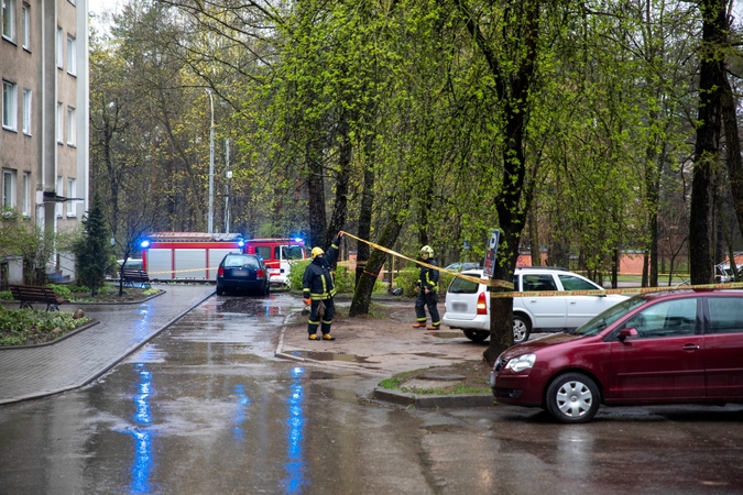 Šalyje – audringi orai: ant kelių virto medžiai ir šakos