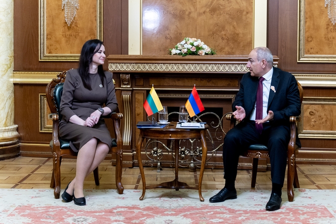 Ruginienė: glaudesnis Armėnijos bendradarbiavimas su ES stiprina saugumą