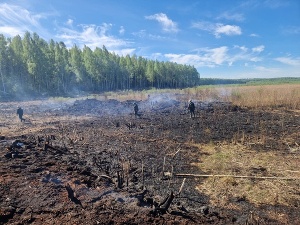 Daugiau nei parą pleška Šepetos durpynas: 4 hektarų plote dega pavieniai židiniai