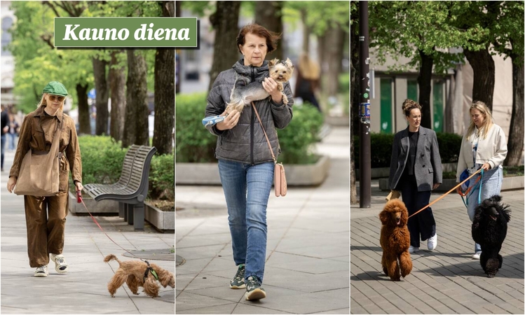 Kauniečių akimirkos – „Kauno dienos“ fotografų nuotraukose