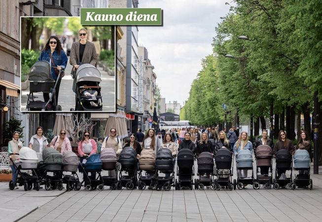 Kauniečių akimirkos – „Kauno dienos“ fotografų nuotraukose
