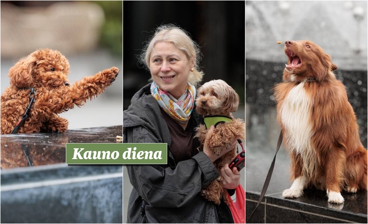Kauniečių akimirkos – „Kauno dienos“ fotografų nuotraukose