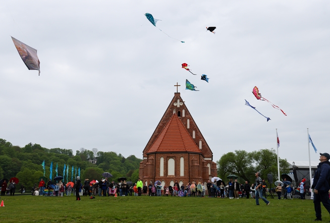 Tradicija: Zapyškyje surengtame aitvarų festivalyje nestigo gerų emocijų.