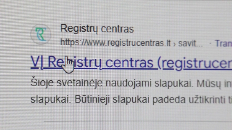 Specialistai įspėja: po Registrų centro skandalo sukčiai gali pradėti naują atakų bangą