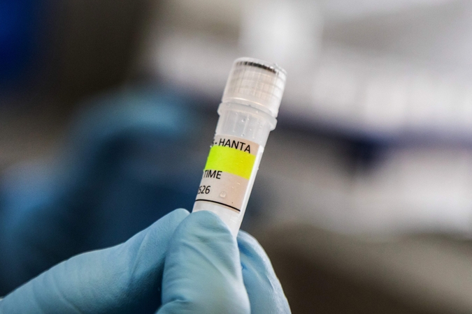 ES: hantaviruso rizika europiečiams yra maža