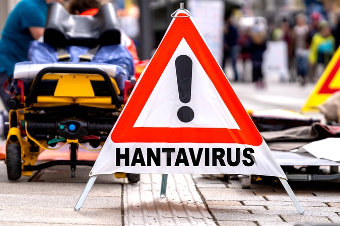 PSO: hantaviruso protrūkio rizika visuomenei yra itin maža
