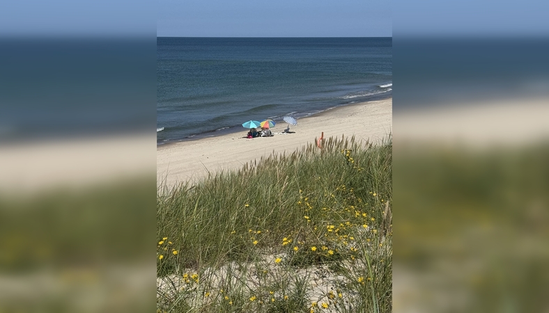 Kuršių nerijos paplūdimiams – Mėlynoji vėliava