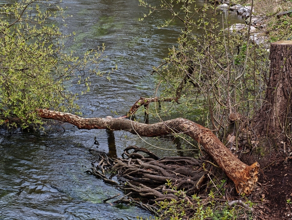 75-erių metų moterį apkaltino raganavimu ir sumušė lenta