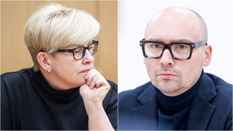 Ingrida Šimonytė ir Matas Maldeikis