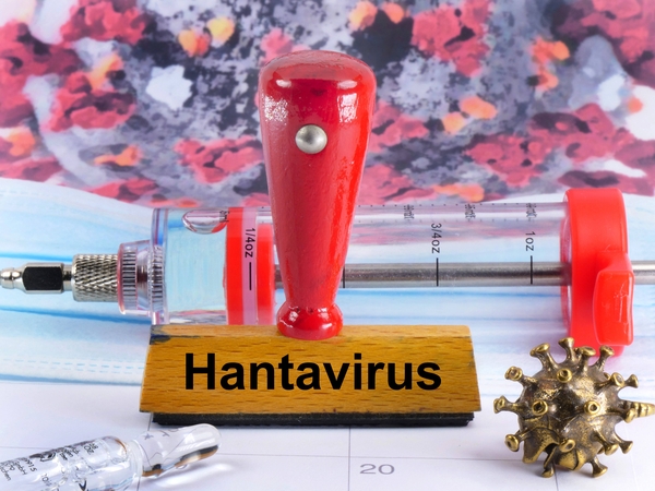 Ispanijoje nustatytas įtariamas hantaviruso atvejis