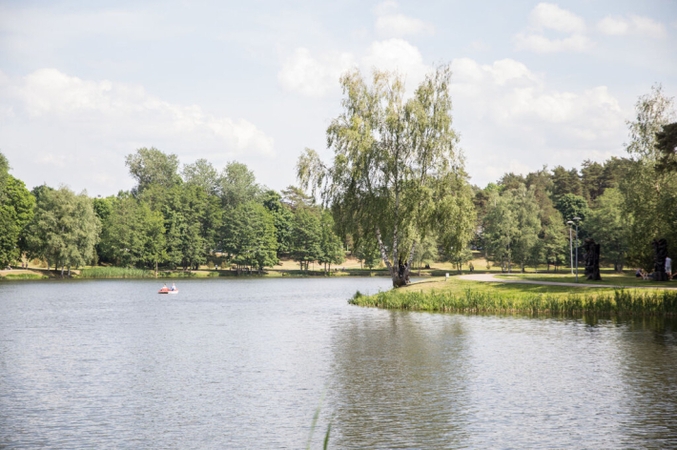 Druskininkai paskelbti 2026 metų Europos medžių miestu