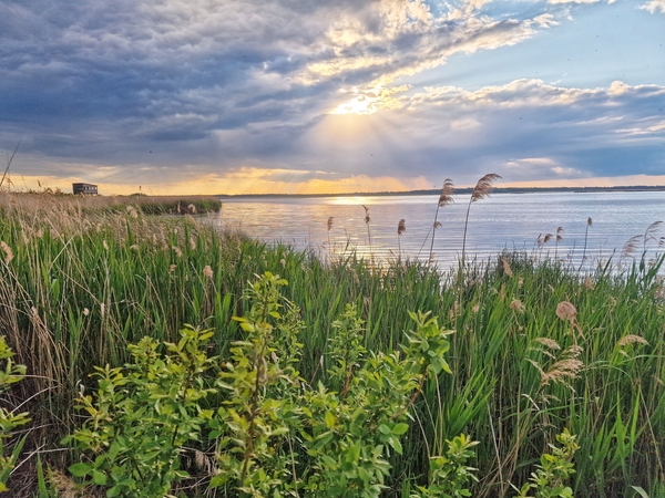Artimiausių dienų orų prognozė