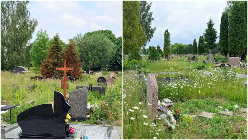 Veša: Lėbartų kapinių lankytojai stebisi, kad žolė jau užgožė ir kai kurias kapavietes.