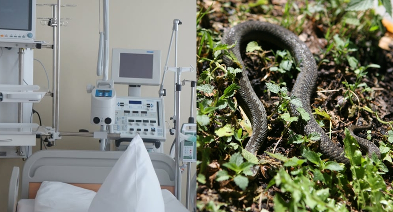Po pasivaikščiojimo Lietuvos miške – tiesiai į reanimaciją: jauno vyro gyvybė pakibo ant plauko