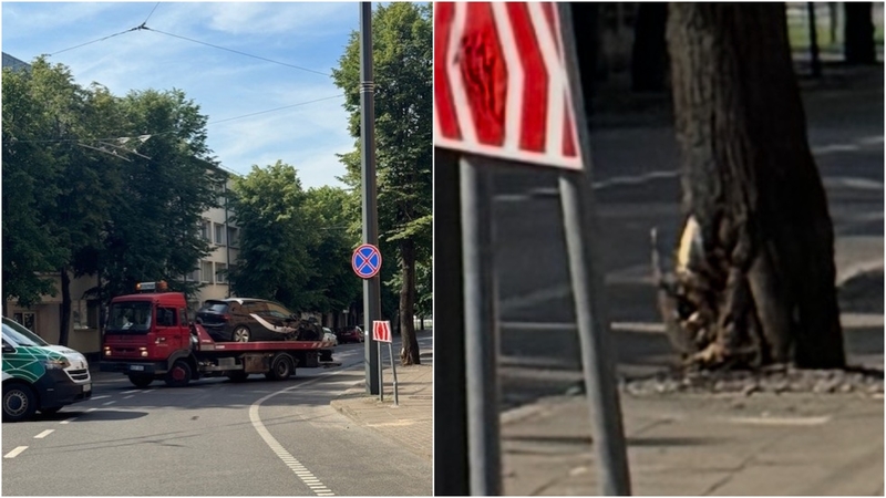 Kauno centre „CityBee“ automobilis kliudė medį: vairuotojas iš įvykio vietos pasišalino