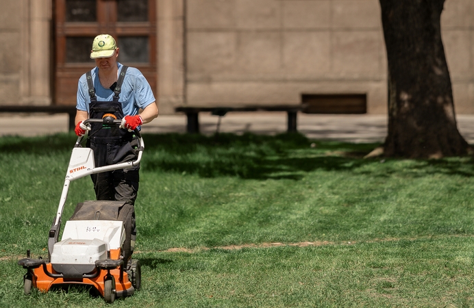 Mokslininkas perspėja – pašalinkite nupjautą žolę
