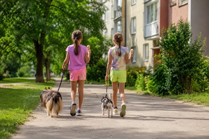 Veikla: vaikai, norėdami šiek tiek užsidirbti, siūlosi už simbolinį mokestį pavedžioti augintinius.