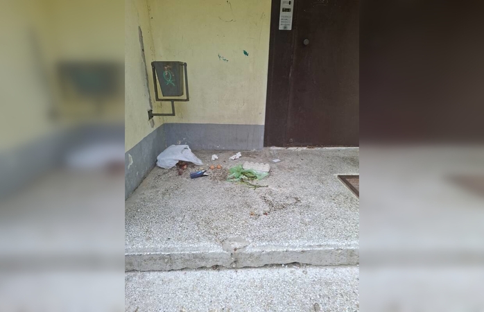 Situacija: manoma, kad prie daugiabučio laiptinės panaikinus šiukšliadėžę, dings ir šiukšlės.