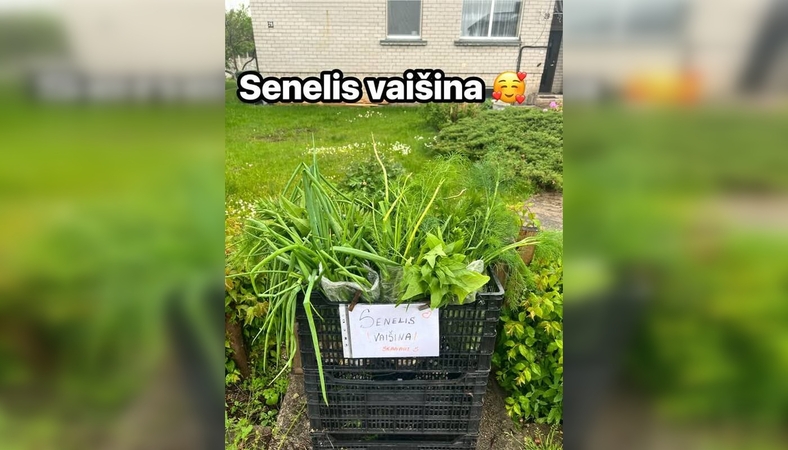 Gerumas: žmones nustebino vieno pensininko gera širdis – sodininkaujantis gyventojas nusprendė nemokamai pasidalinti savo užaugintais žalumynais.