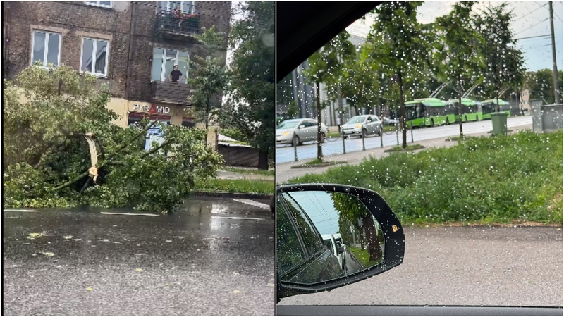 Kauną skalavo liūtis: lūžo medžiai, sutriko troleibusų eismas