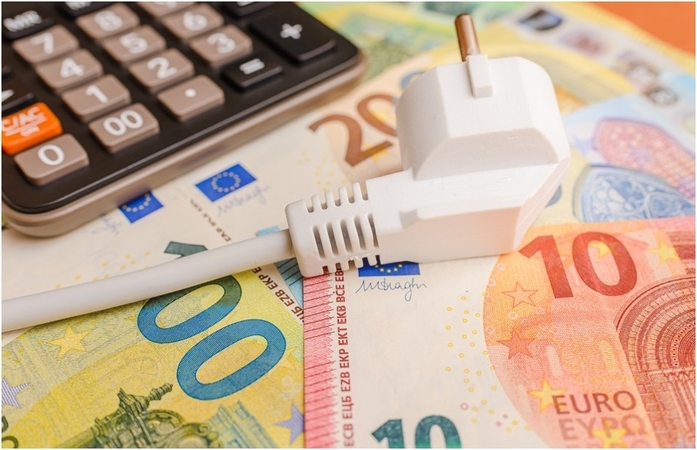Viceministrė: didžioji dalis šių vartotojų už elektrą permoka