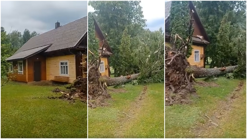 Jau fiksuoja audros pasekmes: Molėtų rajone – per plauką nuo nelaimės