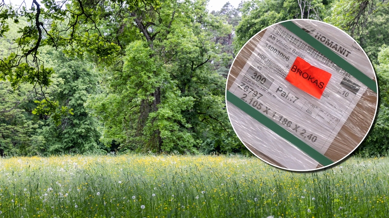 Nuėję į mišką gyventojai negalėjo patikėti tuo, ką pamatė