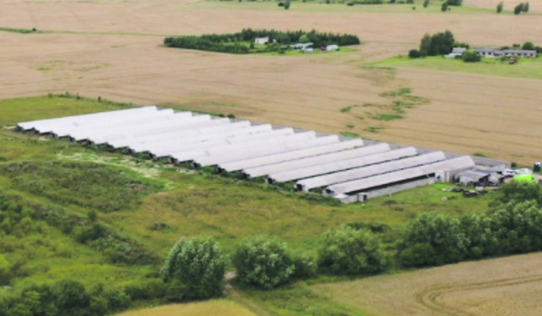 Nauda: per metus vienas stambesnis žvėrelių ūkis Lietuvos biudžetą papildo apie 1–1,5 mln. eurų. 