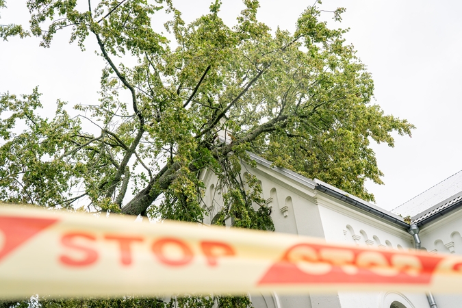 Per audrą Kaune ant daugiabučio nuvirto medis, apgadino balkoną