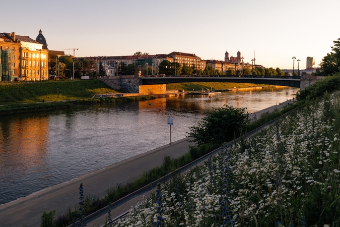 Ištirta Neries būklė: geriausi rodikliai nustatyti Antavilių, Turniškės ir Vilnelės upeliuose