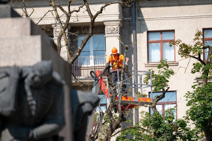 Kauno centre – želdynų tvarkymo darbai