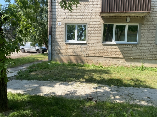 Detektyvas: kas pervažiavo katiną?